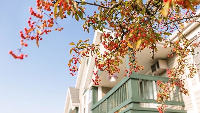 Photo - Whitnall Glen Apartments