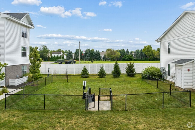 Dog Park - Sheldon Park