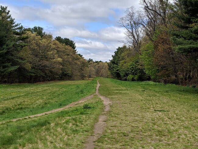 Photo - 253 Main St Unit SI ID1271280P