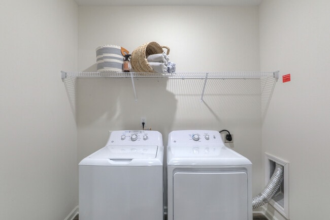 Photo - Waterleaf at Old Franklin