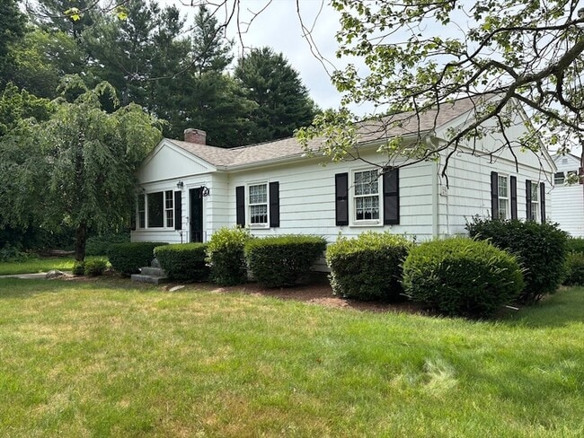 Photo - 29 Forest St