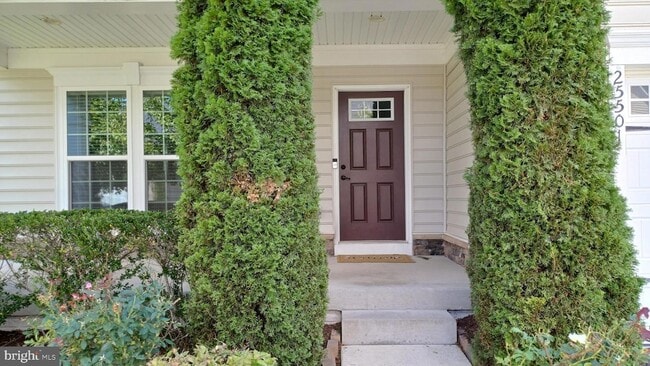 Photo - 25501 Emerson Oaks Dr