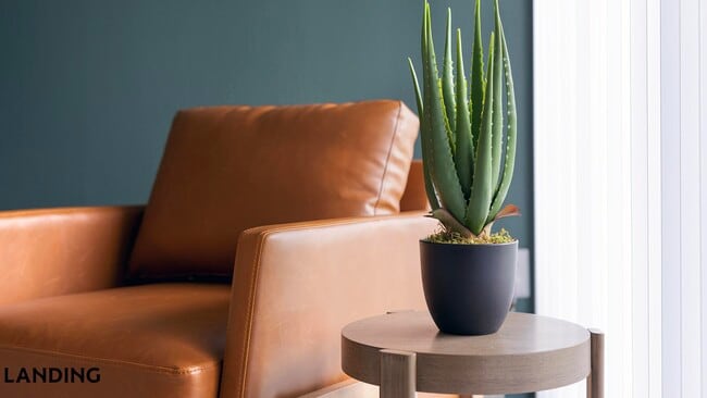 Photo - 8925 Livigno Wy Unit 22-1014