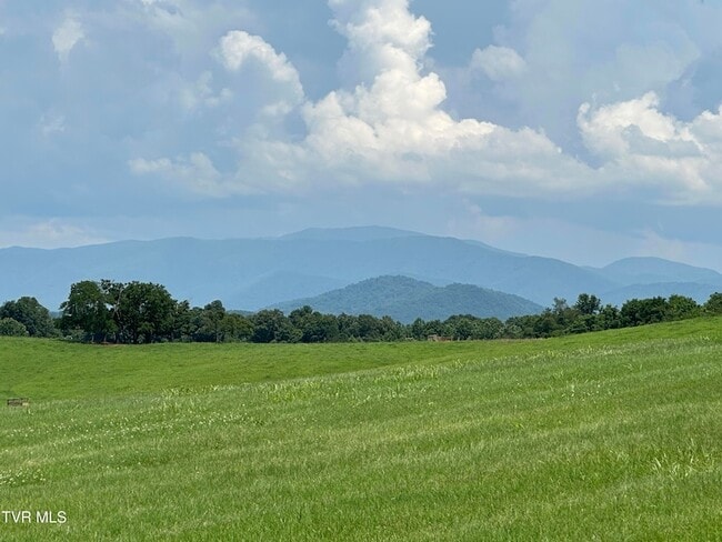 Photo - 3655 W Allens Bridge Rd