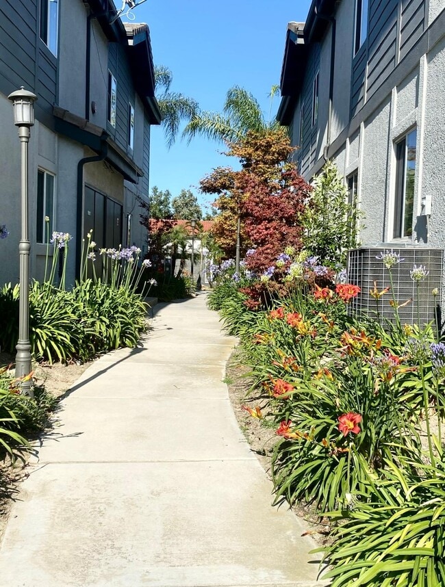 Photo - Somerset Apartments