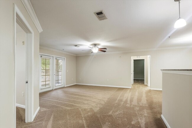 Photo - CRICKET CLUB II