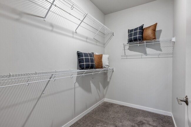 Large Closet Space at Avant at the Arboretum Apartments in Lisle, IL 60532 - Avant at the Arboretum