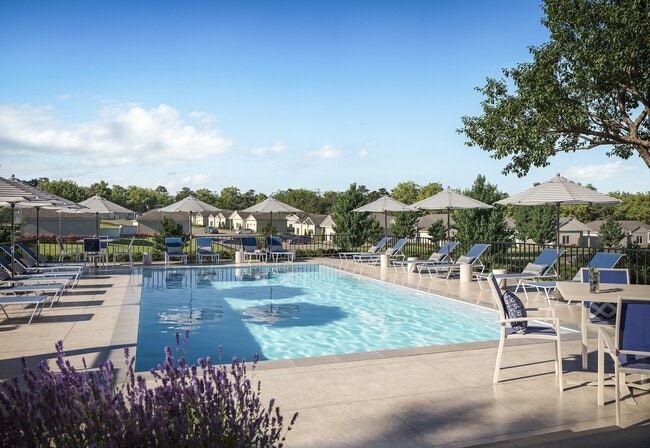 Pool Deck View - The Collection at Elkhorn