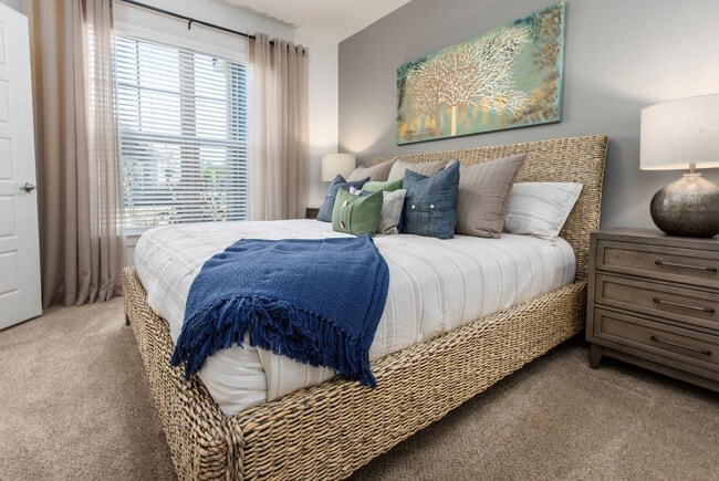 Photo - South City Apartments