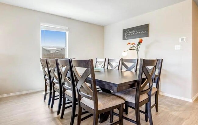 Photo - 1927 Grey Catbird