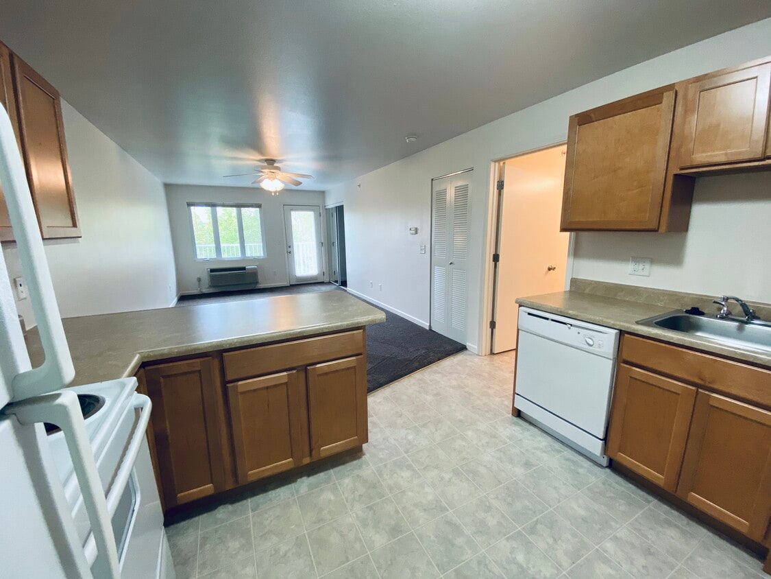 Floor Plan - Premium Studio