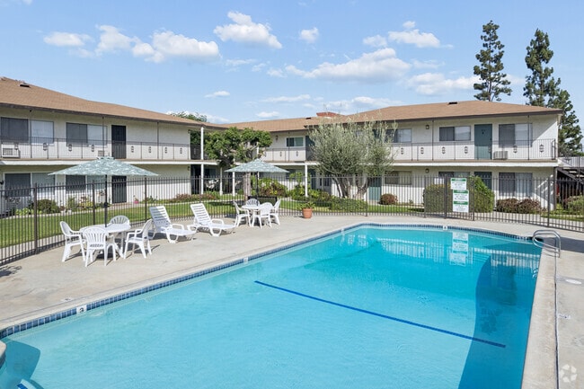 Pool - Los Olivos Apartments