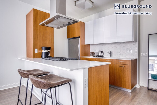 Photo - 500 N Lake Shore Dr Unit FL5-ID394