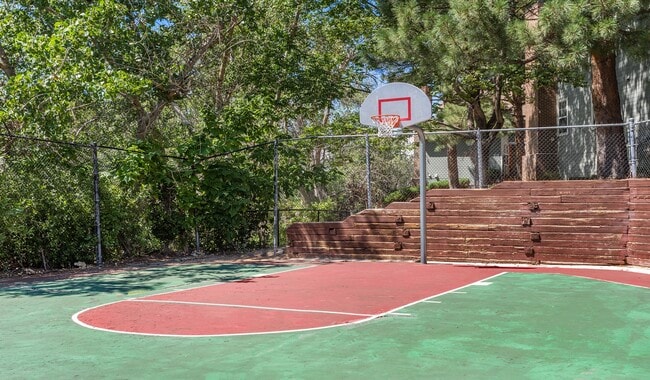 Play, practice, and compete on our community court. - Arcadia Apartment Homes