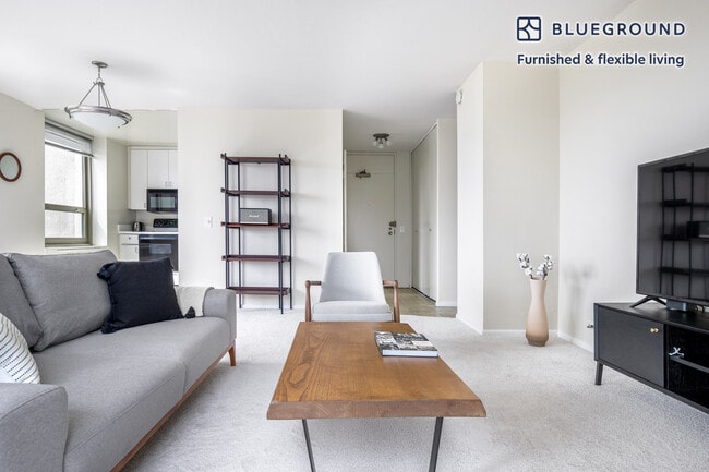 Photo - 3450 N Lake Shore Dr Unit SI FL12-ID374