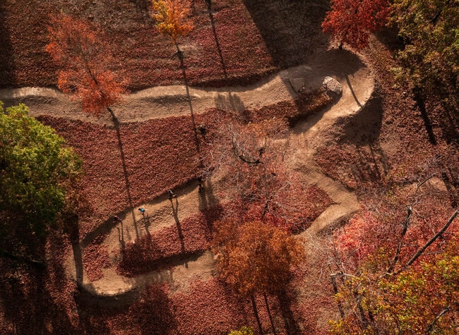 Photo - 1311 Co Rd 118 Unit ID1221907P