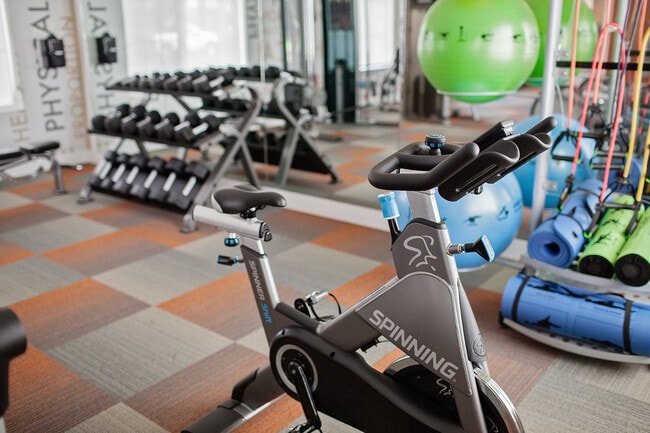 Photo - Treeline 604