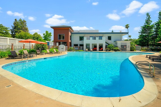 Building Photo - The Parc at Pruneyard