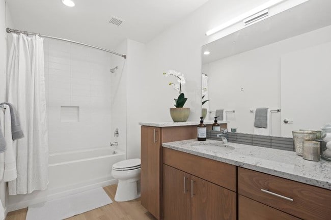 Photo - The M Apartments