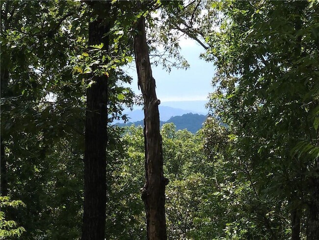 Photo - 101 Hothouse Dr