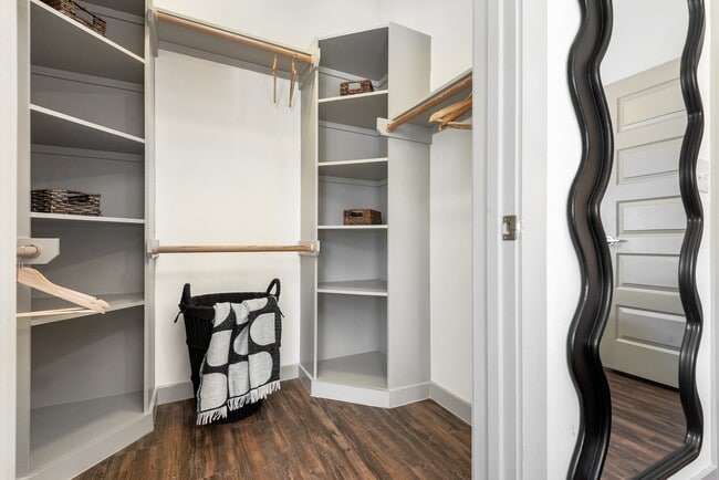 Large Closet with Built-Ins and Plenty Of Storage - Lamar Union