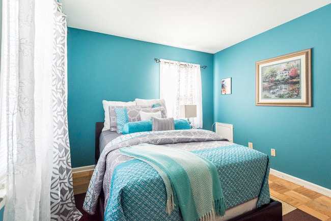 Photo - Williamsburg Park