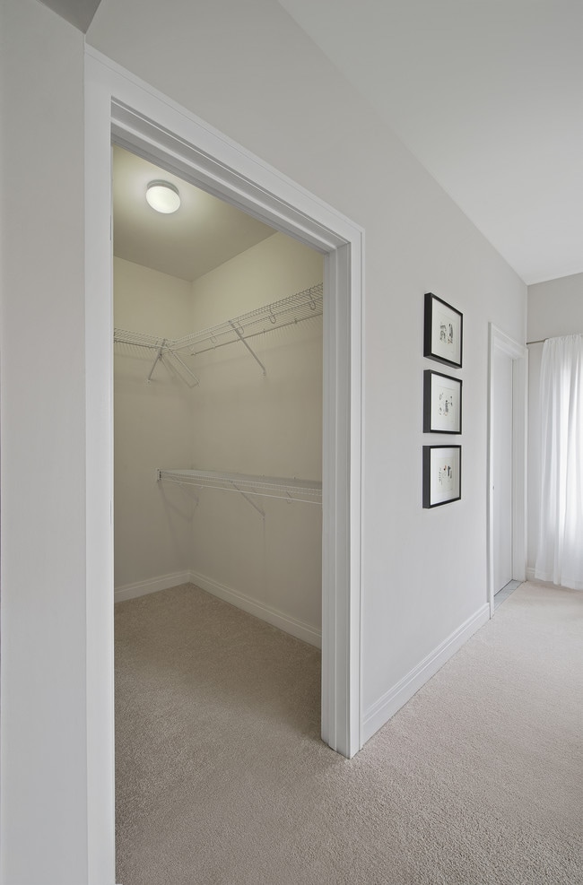 Walk-in Closet - The Scott at Brush Park