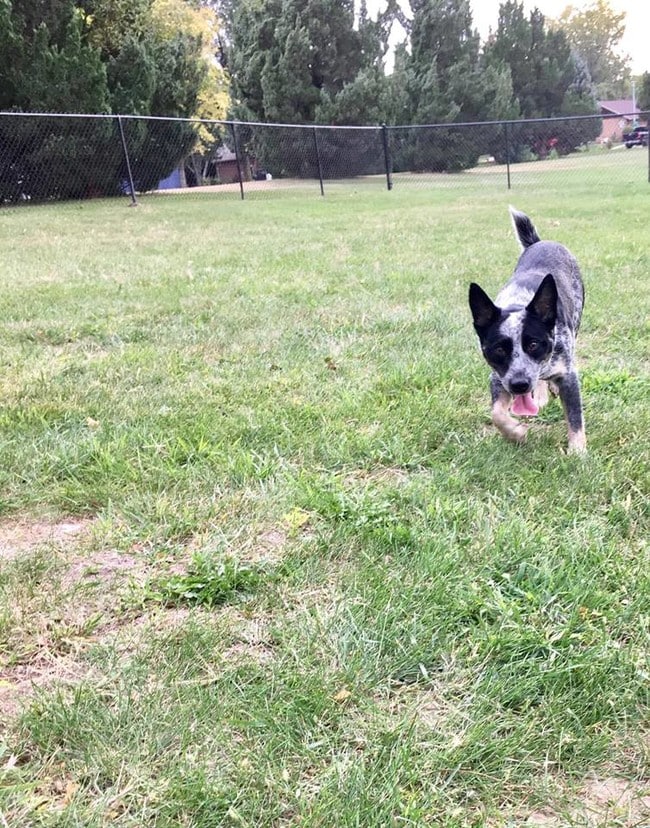 Photo - Kearney Apartment Homes