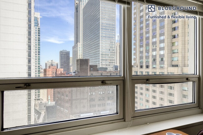 Photo - 750 N Rush St Unit FL24-ID54