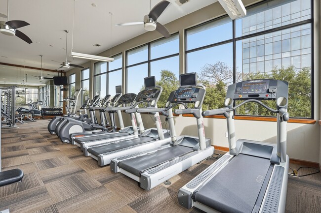 Photo - Sola Galleria