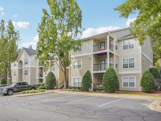 Photo - Lake Cameron