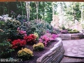 Photo - 10613 Sherman Rd