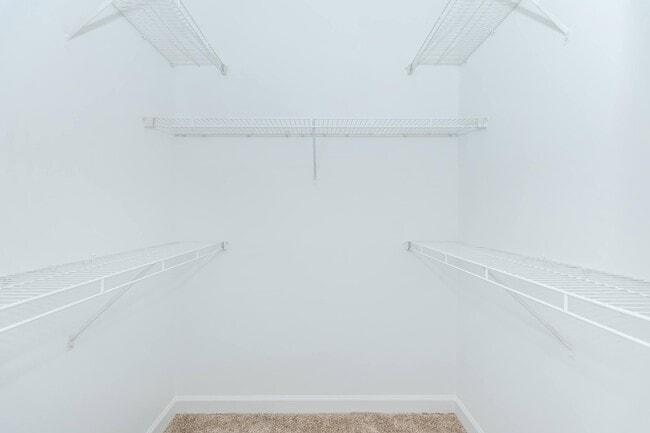 Photo - The Rothbury