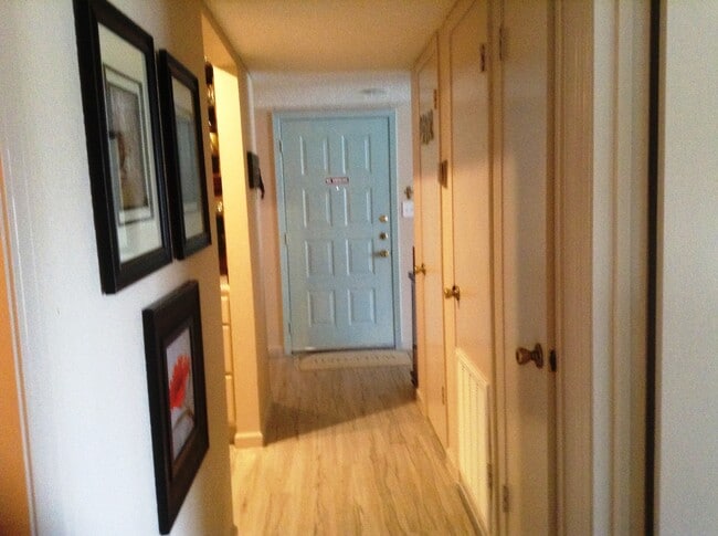 hallway entry - Lago Viejo South