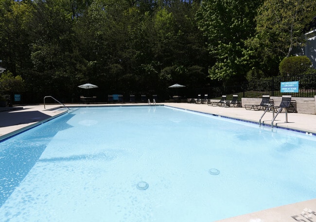 Pool - Laurel Bluff Apartments and Townhomes