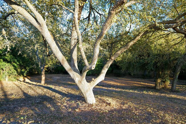 Photo - 10201 Shane Dr Unit ID1268406P