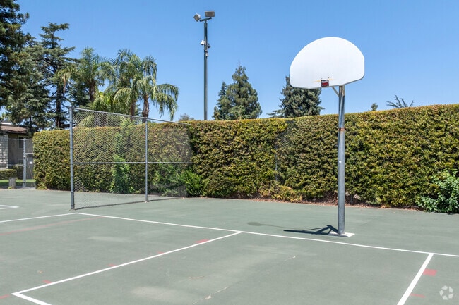 Basketball Court - Cedar Commons