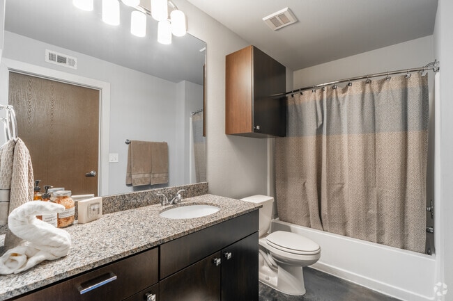 1BR, 1BA P - 713SF - Bathroom - Argenta Flats