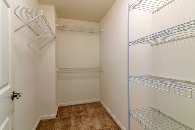 Walk-in closet - Avalon Northborough