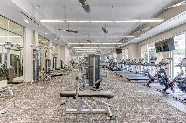 Fitness Center - Domain on the Parkway