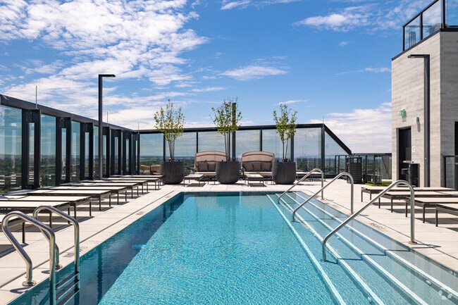 Rooftop Pool - Arthur