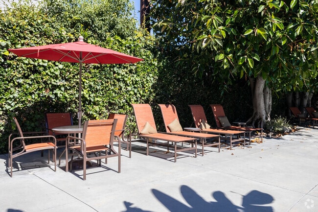 Patio - South Olive Apartments