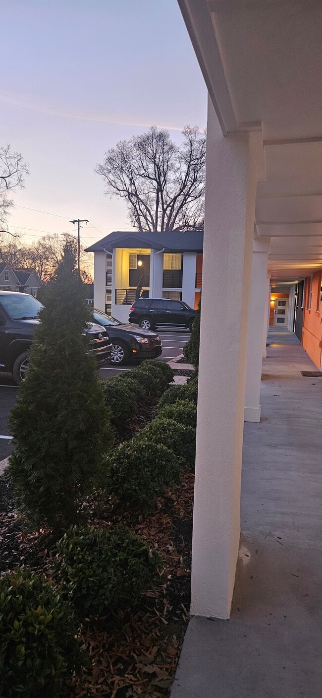 Photo - Plaza Midwood Apartments