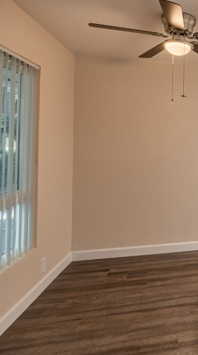 Photo - Marconi Oaks