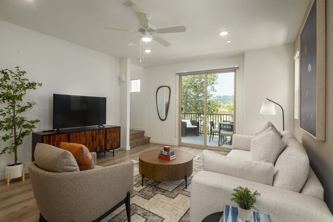 Photo - Lilian Frogtown