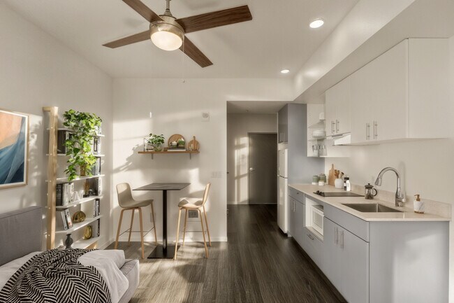 Photo - Koz on Sandy