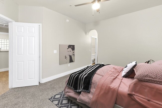 Photo - Fountain Palms