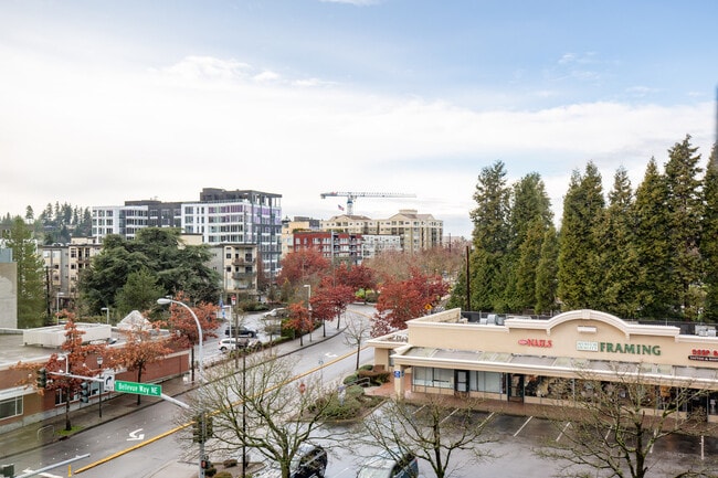 Photo - 10410 NE 2nd St Unit FL2-ID3079A