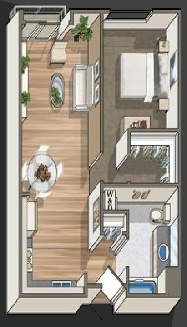 The Cezanne - Cezanne