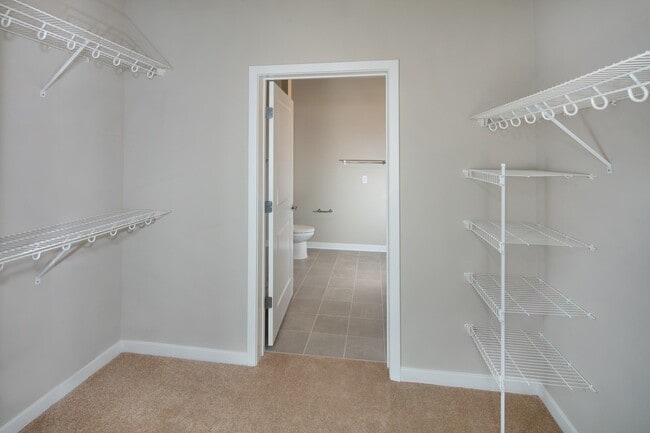 Photo - Scout on the Circle Apartments